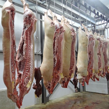 Abattoir pig-pork-slaughterhouse-butcher.jpg
