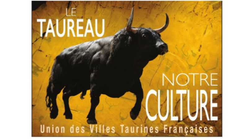 Echos du callejon : nouvelles taurines
