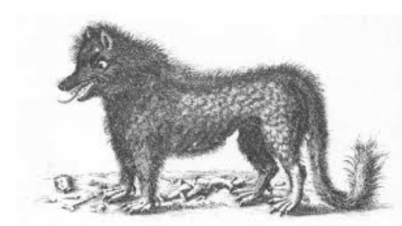 Souvenirs : Cantaloup, berger lozérien, et la bête du Gévaudan