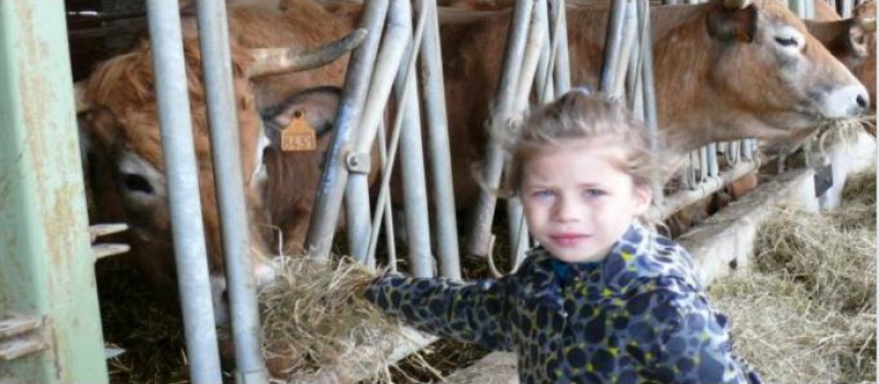 Le salon de l'Agriculture à la ferme, des fermes ouvertes pour découvrir l'agriculture paysanne