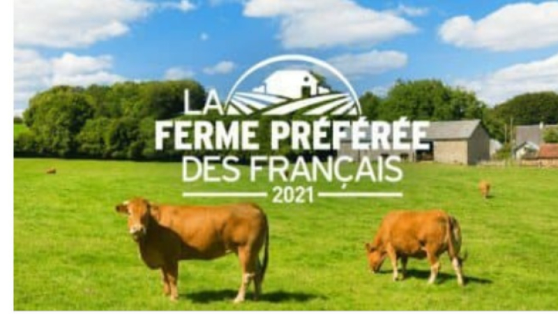 La ferme du Hitton sera-t-elle la ferme préférée des Français? Réponse mercredi soir!
