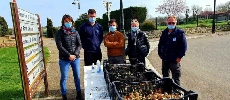 Une idée anti-gaspi : les plants de l'année dernière distribués aux jardiniers amateurs
