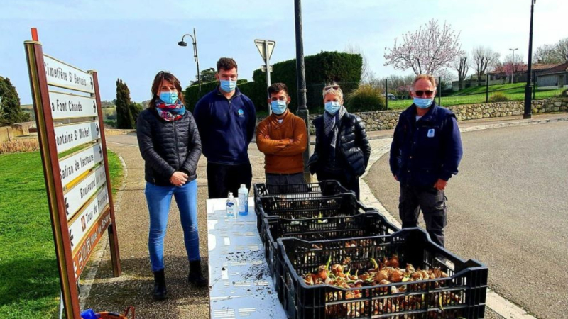 Une idée anti-gaspi : les plants de l'année dernière distribués aux jardiniers amateurs