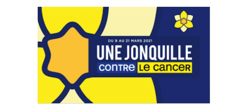 Une jonquille contre le cancer
