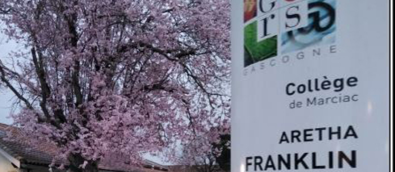 Inscription au collège Aretha Franklin 