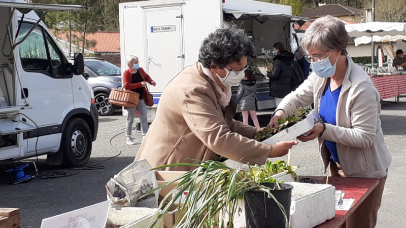 Marché de printemps - la suite -