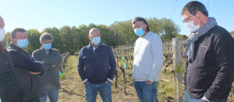Les vignobles sérieusement touchés