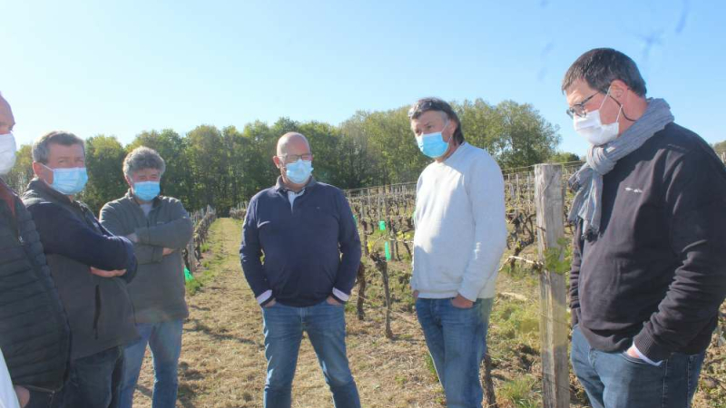 Les vignobles sérieusement touchés