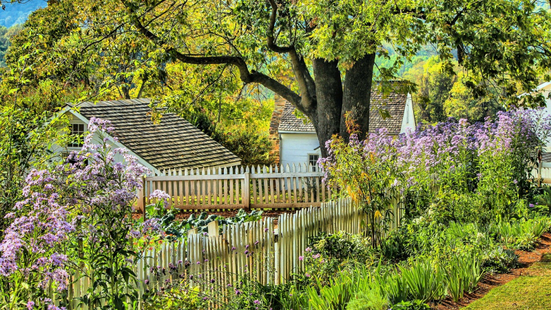 Concours des jardins écologiques