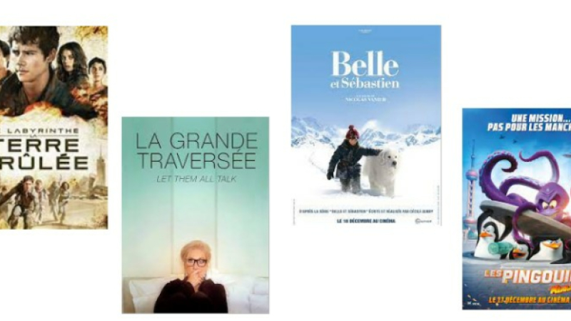 "Belle et Sébastien" entre autres propositions pour votre soirée télé de  mardi 