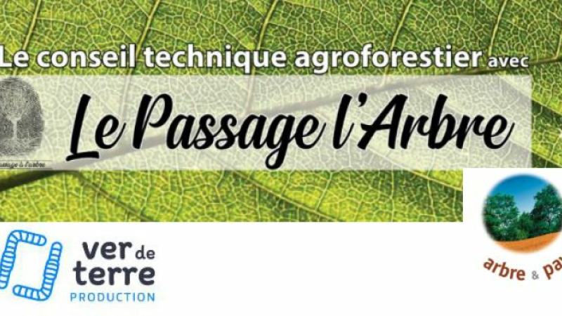 Produire, Protéger, Prévenir et se Nourrir