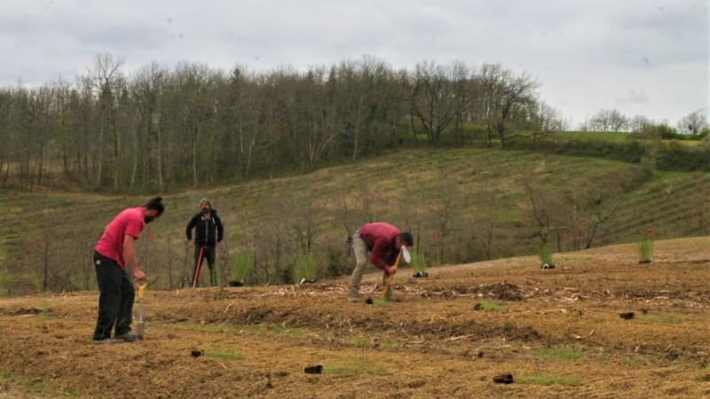 “Esperense”, quels arbres pour demain ?