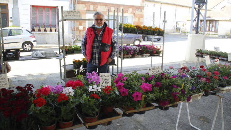 Ils sont revenus !