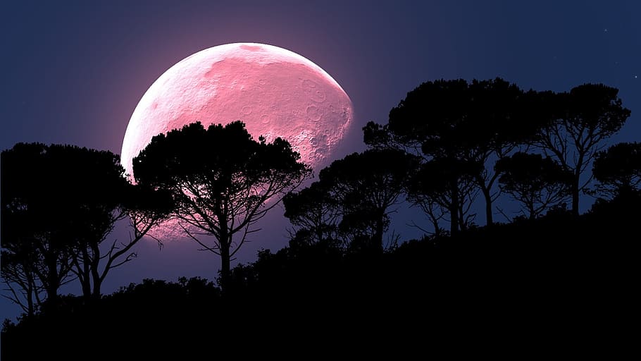 Une lune rose ? Illustration Piqsels.com