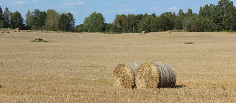 Coup de pouce avant Noël pour les retraités agricoles