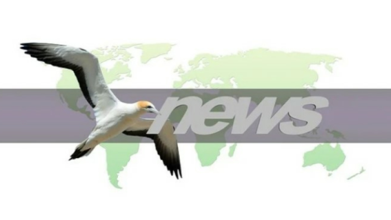 La journée mondiale de la liberté de la presse  pour une information vérifiée et fiable