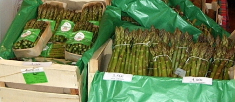 Le marché des producteurs a trouvé son rythme de croisière