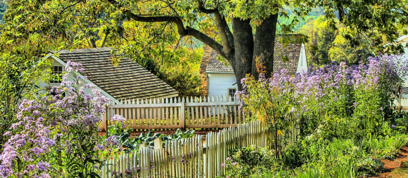 Participer au concours des jardins écologiques