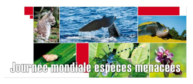 Mardi 11 mai, journée mondiale des espèces menacées