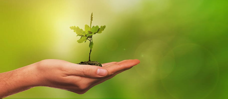 "Agir avec les jeunes pour l’environnement dans les territoires"