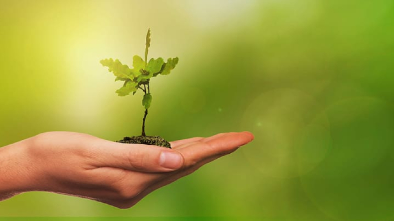 "Agir avec les jeunes pour l’environnement dans les territoires"