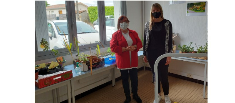 Journée portes ouvertes à Vic Accueil : les plantes à l'honneur !