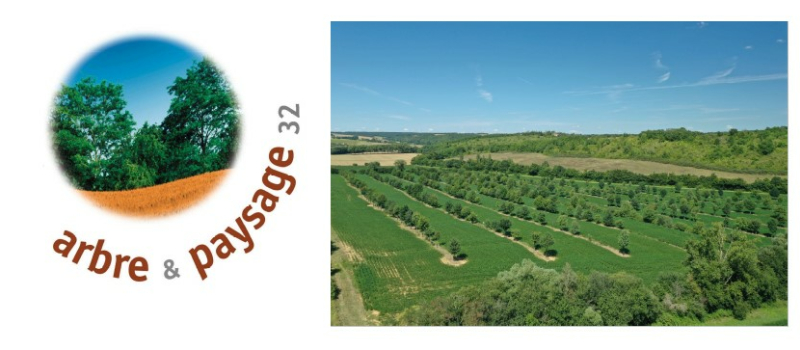 Arbre et Paysage 32, une association «porte-parole» de l’arbre champêtre!