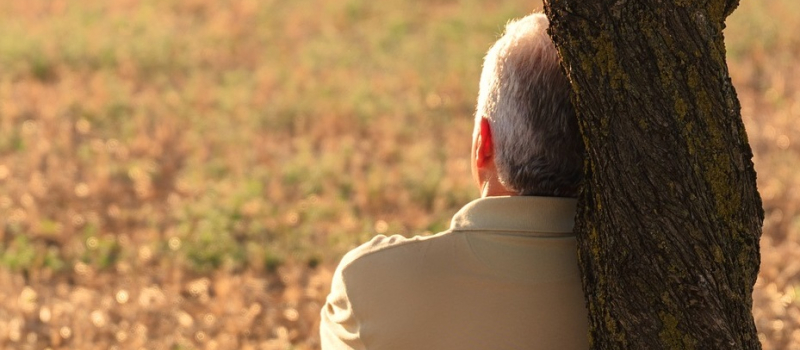 Agriculture. La faiblesse des revenus et le dénigrement de la population expliquent les suicides