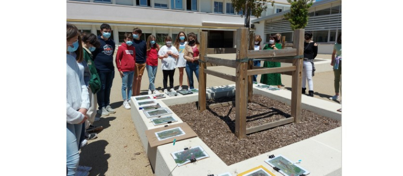 Une artiste au collège...et pas seulement en cours d'arts plastiques!