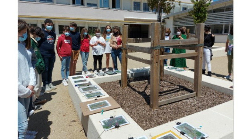 Une artiste au collège...et pas seulement en cours d'arts plastiques!