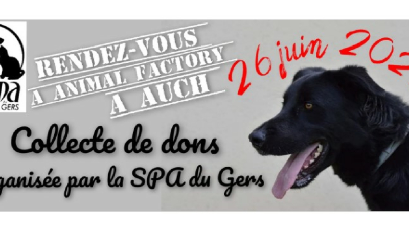 Collecte organisée par la SPA