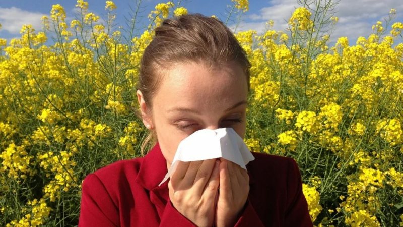 allergies de saison