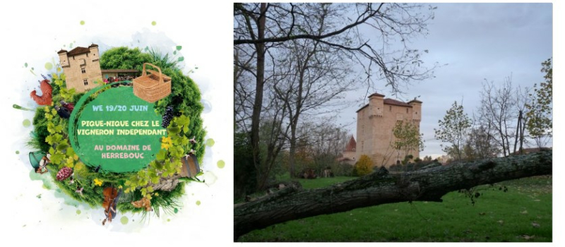 Pique-nique chez le vigneron au domaine de Herrebouc