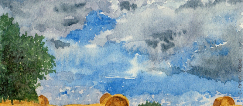 Christelle Debord proposera des reproductions de ses aquarelles