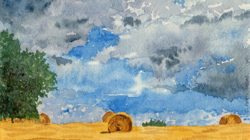 Christelle Debord proposera des reproductions de ses aquarelles