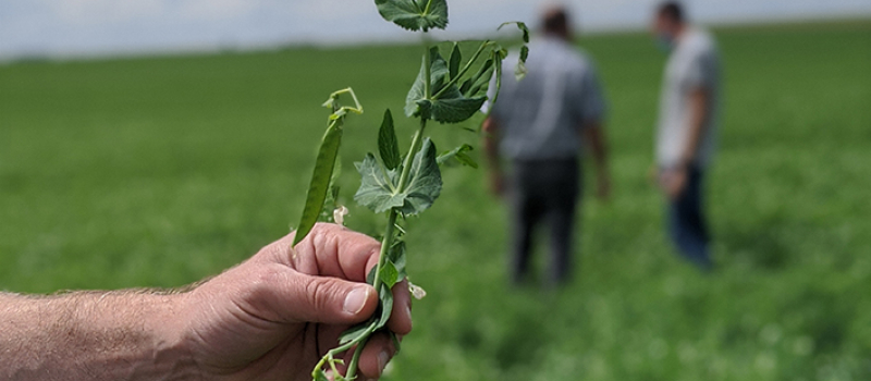 Bonduelle partenaire des Journées nationales de l’agriculture
