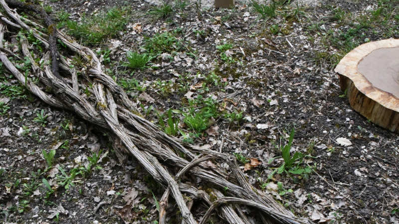 L'Art dans la nature