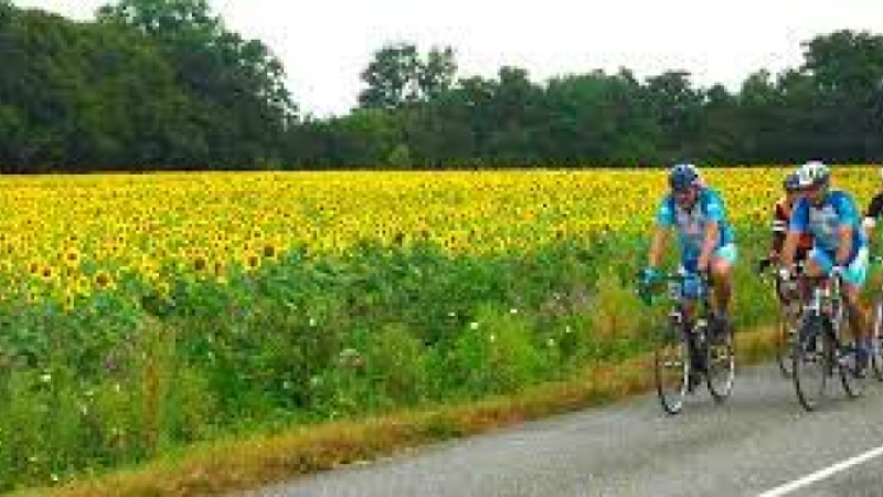 voies cyclables. environnement le Gers peut mieux faire