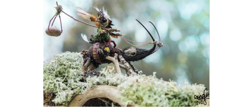 Randonnée enchantée dans la forêt de Sorbets