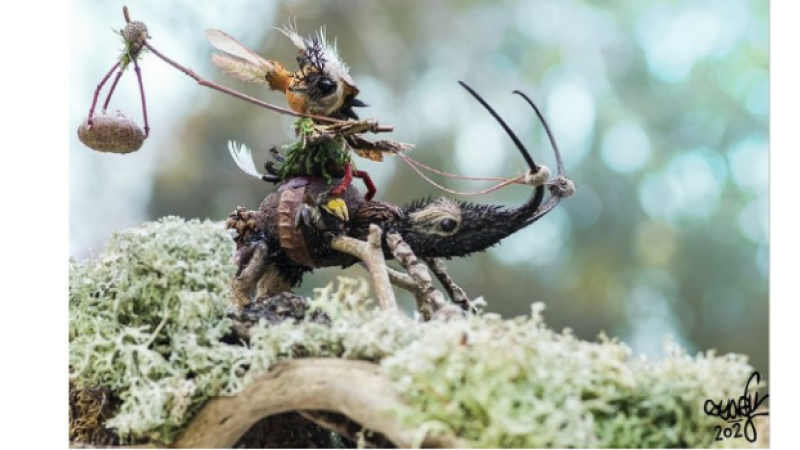 Randonnée enchantée dans la forêt de Sorbets