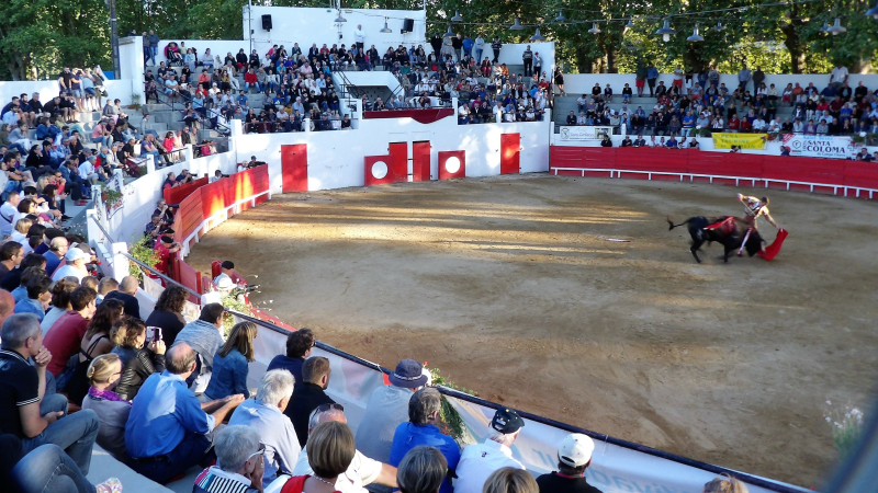 les grandes fetes du pays  a Plaisance du Gers