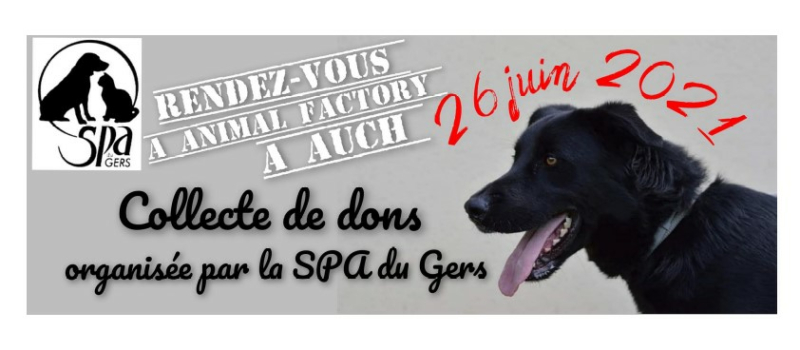 Samedi 26 juin, journée mondiale contre l'abandon des animaux de compagnie