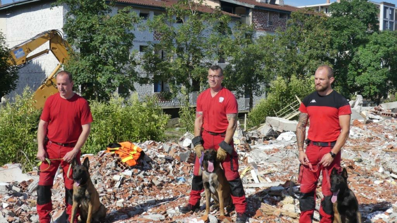 Ils se font les dents dans les décombres d'un quartier du Garros