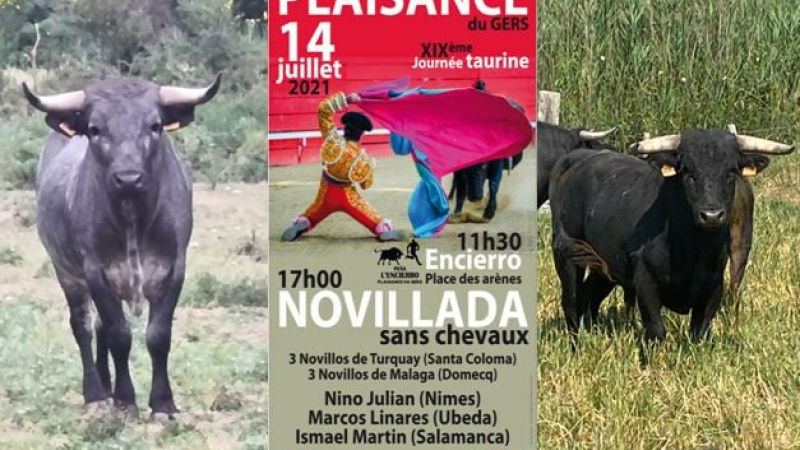 Présentation des Novillos du 14 Juillet