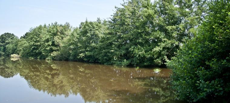 Un coin de l'étang du Pesqué 3 130710.jpg