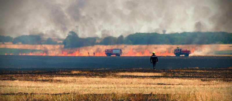 Un feu de chaume détruit 6 ha de blé