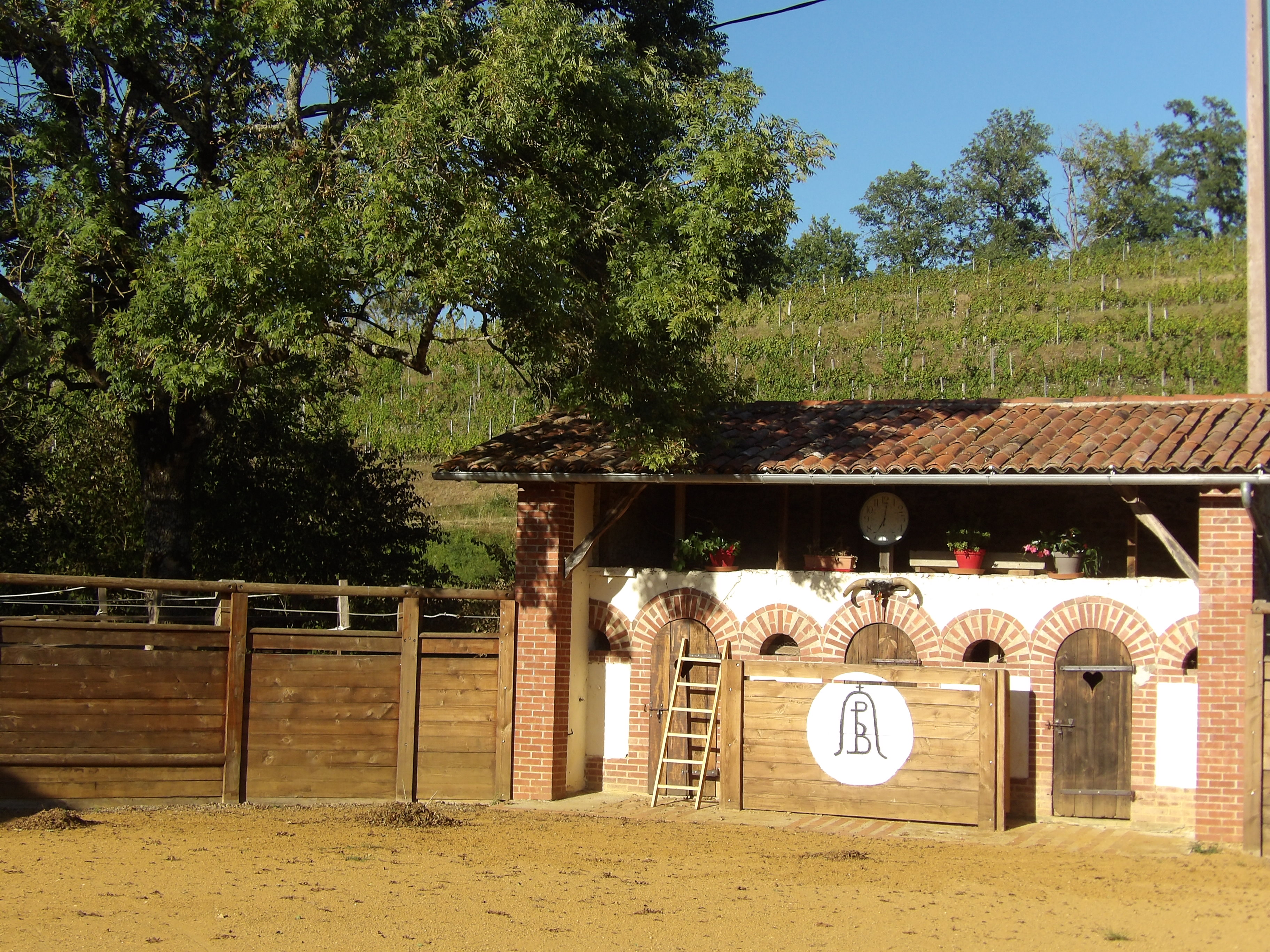Une couse Landaise aux Arènes du Lartet