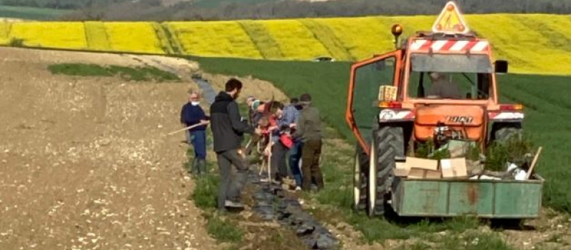 "Plantons des haies", une mesure visant à augmenter la dynamique de plantation des haies
