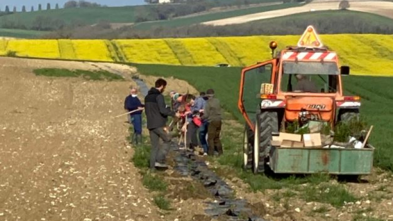 "Plantons des haies", une mesure visant à augmenter la dynamique de plantation des haies