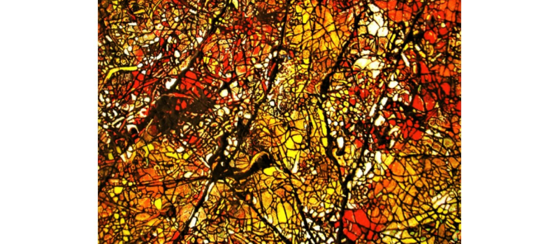 Nouvelle exposition à la galerie " Cap Montaut"
